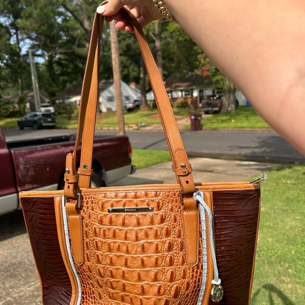 Brahmin - Picture 3 of 3